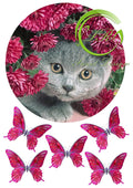 Katze mit Blume №3 Tortenaufleger,Geburtstag,Tortendeko