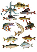Fishing, Angler, Fisch, 12 Stück