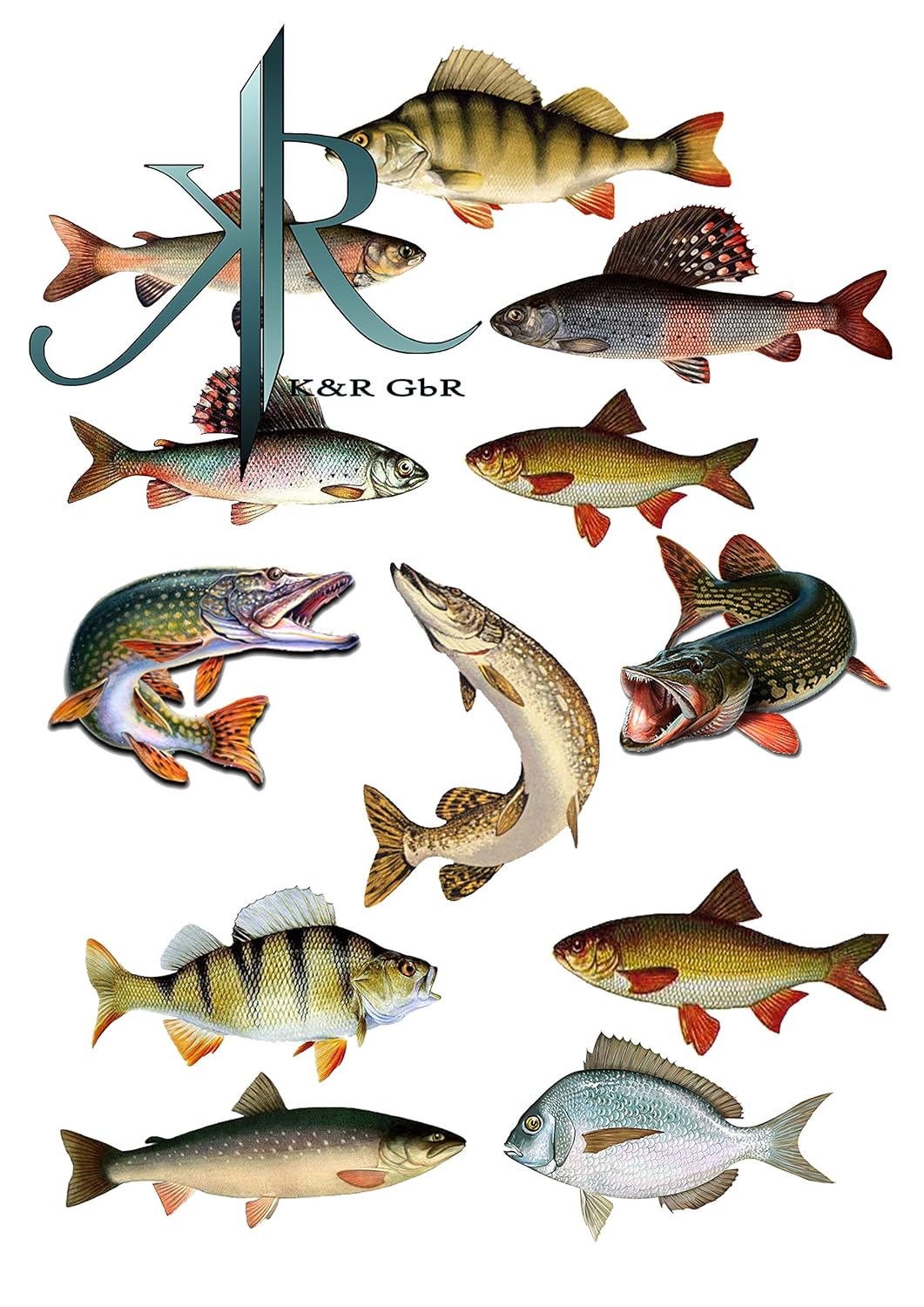 Fishing, Angler, Fisch, 12 Stück
